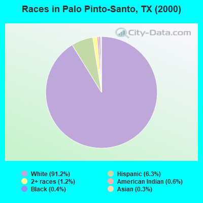 Races in Palo Pinto-Santo, TX (2000)