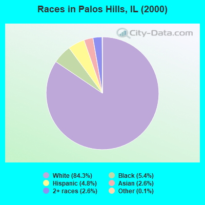Races in Palos Hills, IL (2000)
