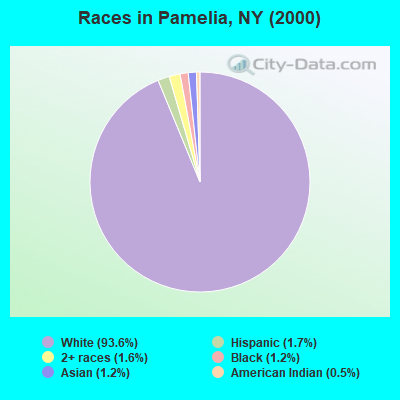Races in Pamelia, NY (2000)