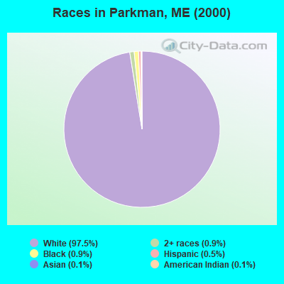 Races in Parkman, ME (2000)