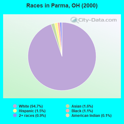 Races in Parma, OH (2000)