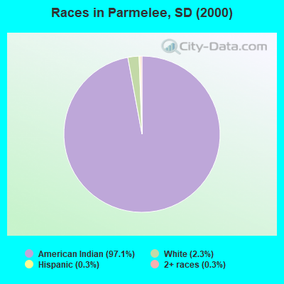 Races in Parmelee, SD (2000)