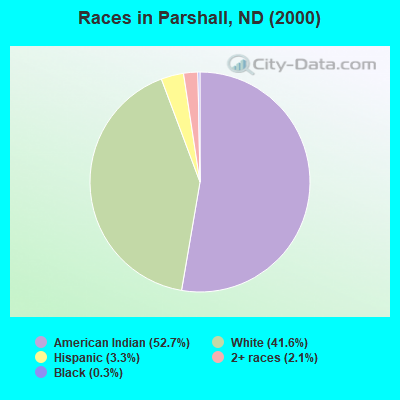 Races in Parshall, ND (2000)