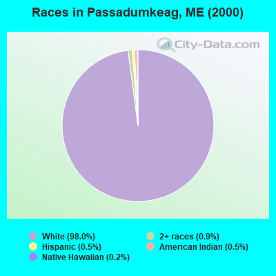 Races in Passadumkeag, ME (2000)