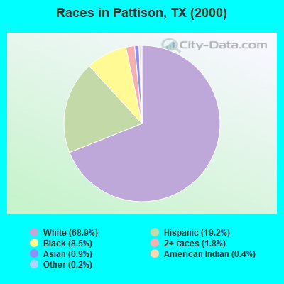 Races in Pattison, TX (2000)