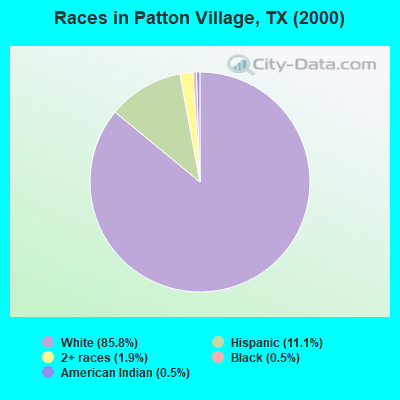 Races in Patton Village, TX (2000)