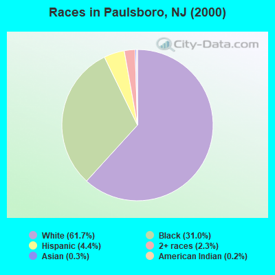 Races in Paulsboro, NJ (2000)