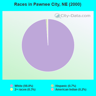 Races in Pawnee City, NE (2000)