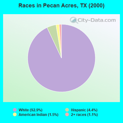 Races in Pecan Acres, TX (2000)