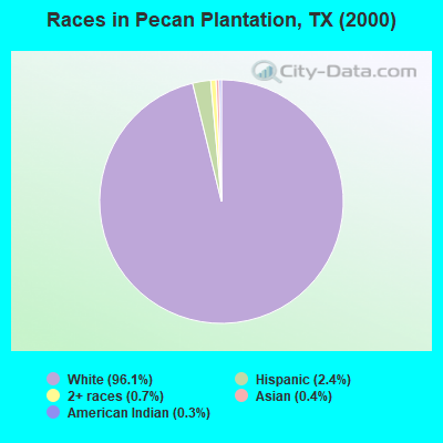 Races in Pecan Plantation, TX (2000)