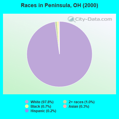 Races in Peninsula, OH (2000)