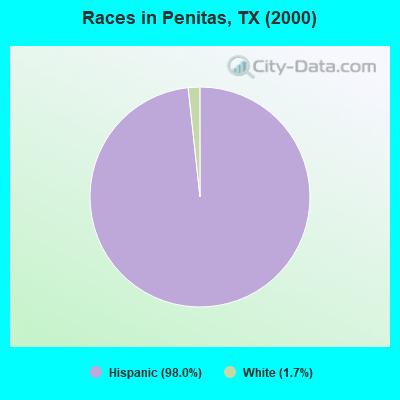 Races in Penitas, TX (2000)