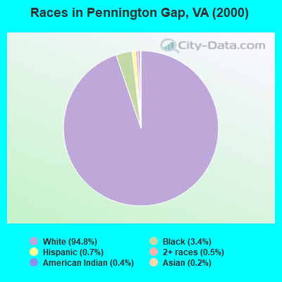 Races in Pennington Gap, VA (2000)