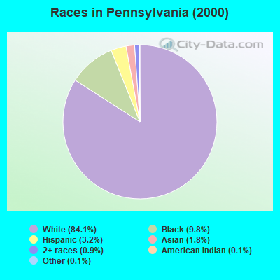 Races in Pennsylvania (2000)