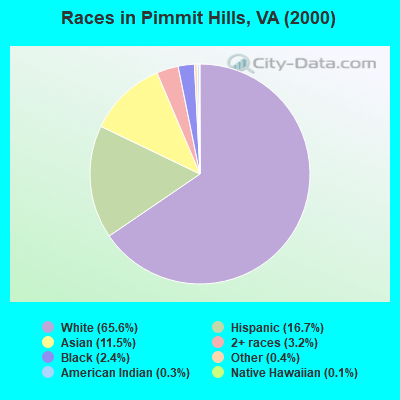 Races in Pimmit Hills, VA (2000)