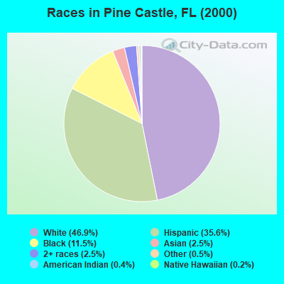 Races in Pine Castle, FL (2000)