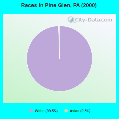 Races in Pine Glen, PA (2000)
