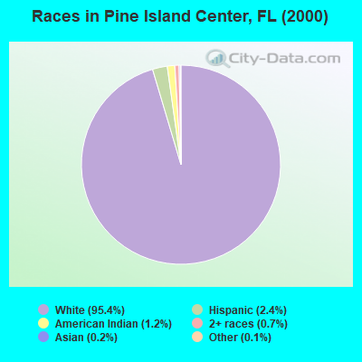 Races in Pine Island Center, FL (2000)