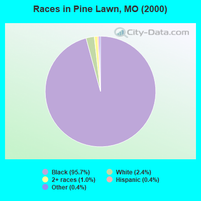 Races in Pine Lawn, MO (2000)