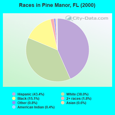 Races in Pine Manor, FL (2000)