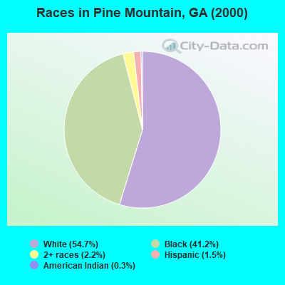 Races in Pine Mountain, GA (2000)