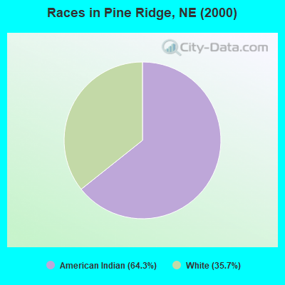 Races in Pine Ridge, NE (2000)