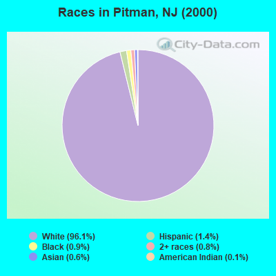 Races in Pitman, NJ (2000)