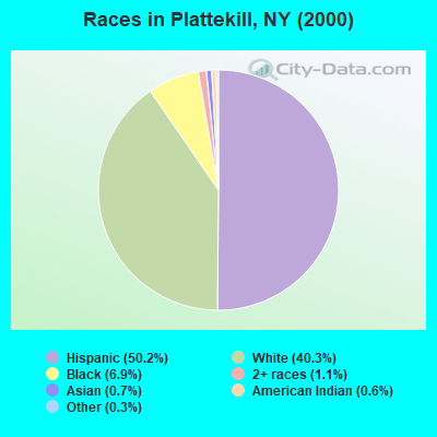 Races in Plattekill, NY (2000)