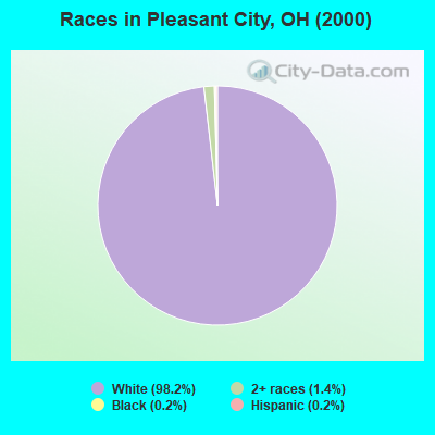 Races in Pleasant City, OH (2000)