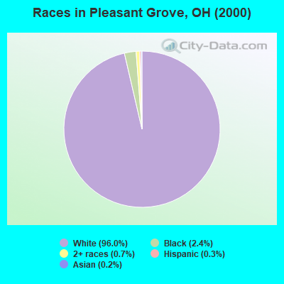 Races in Pleasant Grove, OH (2000)
