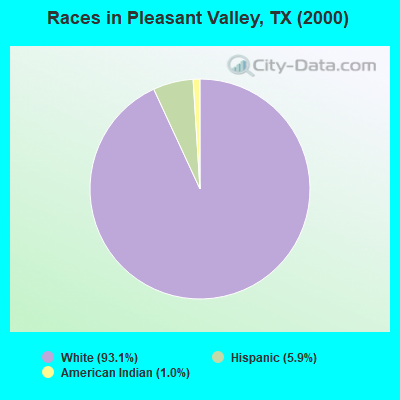 Races in Pleasant Valley, TX (2000)