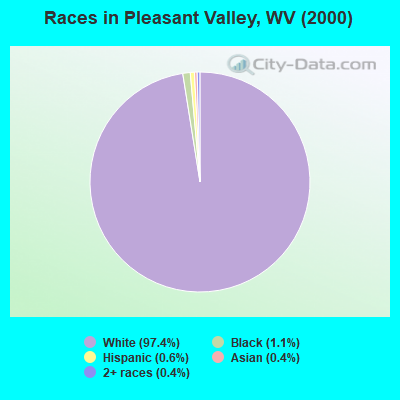 Races in Pleasant Valley, WV (2000)