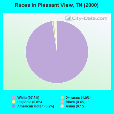 Races in Pleasant View, TN (2000)
