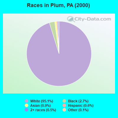 Races in Plum, PA (2000)