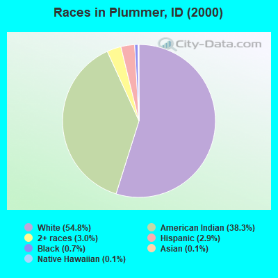 Races in Plummer, ID (2000)