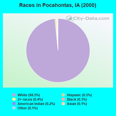 Races in Pocahontas, IA (2000)