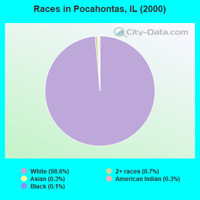 Races in Pocahontas, IL (2000)