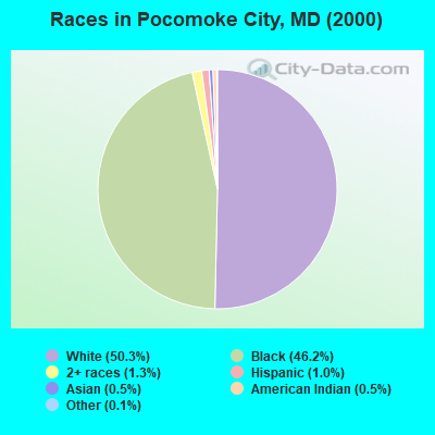 Races in Pocomoke City, MD (2000)