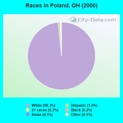 Races in Poland, OH (2000)