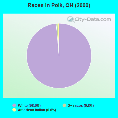 Races in Polk, OH (2000)