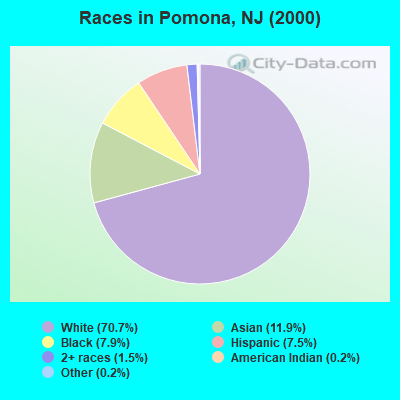 Races in Pomona, NJ (2000)