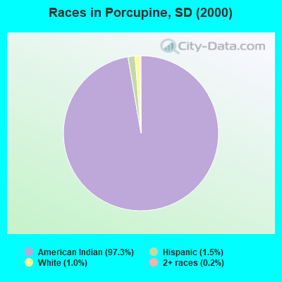 Races in Porcupine, SD (2000)