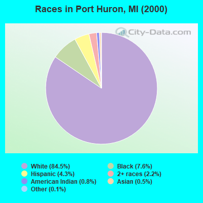 Races in Port Huron, MI (2000)