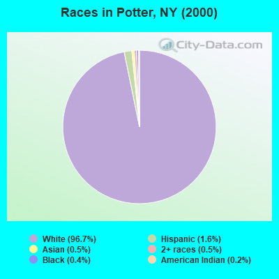 Races in Potter, NY (2000)
