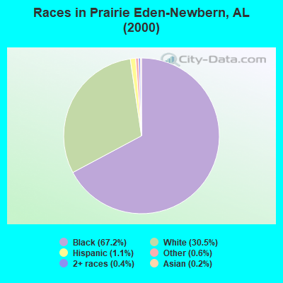 Races in Prairie Eden-Newbern, AL (2000)