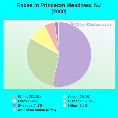 Races in Princeton Meadows, NJ (2000)