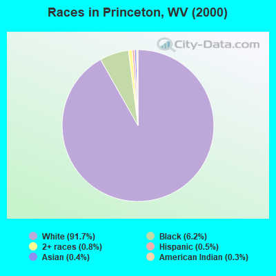 Races in Princeton, WV (2000)