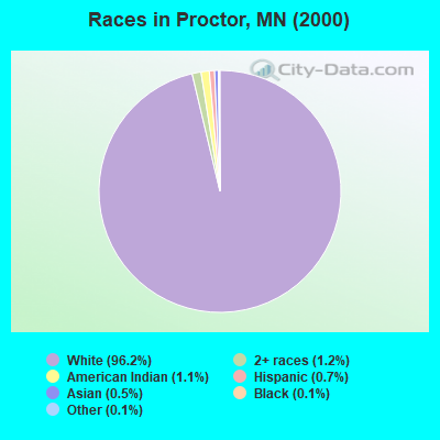 Races in Proctor, MN (2000)