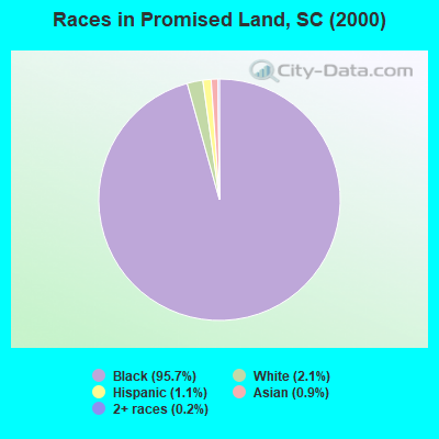 Races in Promised Land, SC (2000)
