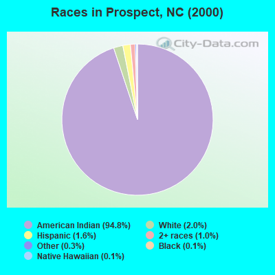 Races in Prospect, NC (2000)